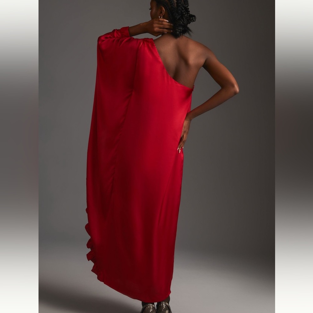 NWT - One-Shoulder Ruffled Dress - Picture 3 of 8